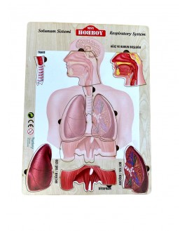 Hamaha Educational Wooden Toy Respiratory System bul-Tati Puzzle