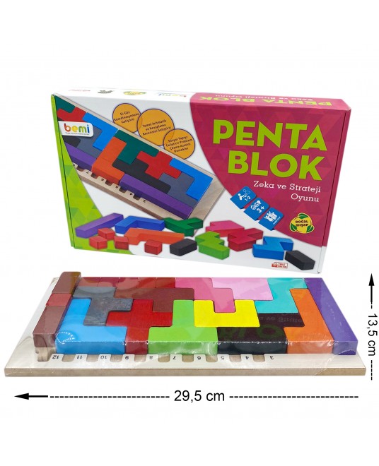 Hamaha Educational Wooden Toy Penta Block Family Box and Fun Game Katamino