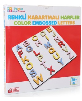 Hamaha Educational Wooden Toy Colorful Embossed Letters